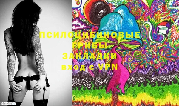 мет Вяземский